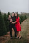 Image of Christmas Tree minis