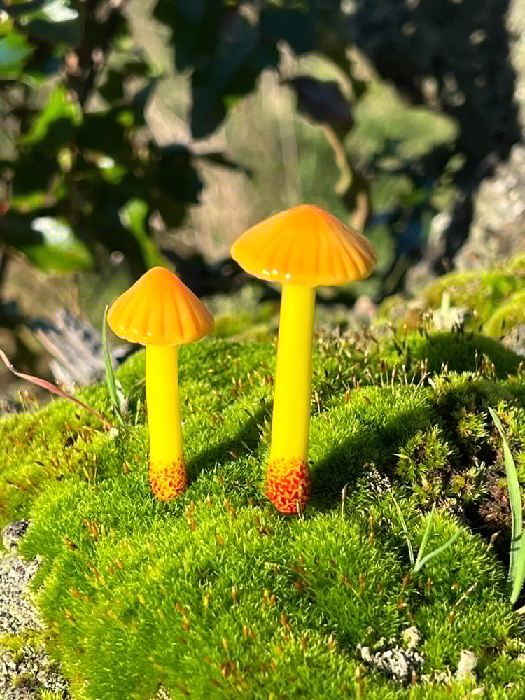 Image of 2 Yellow & Orange Mushroom Plant Spikes