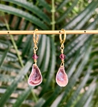 Image 2 of Tiny Mussel Earrings E138