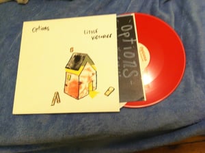 Image of Little Victories 12" LP