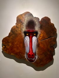 Image 1 of The Guardian