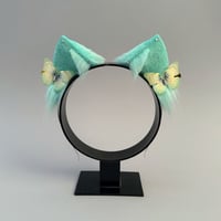 Image 1 of Green Butterfly Kitten