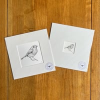 Robin Giclee Print