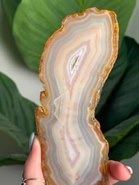 Image 4 of RAINBOW AGATE SLAB -MADAGADSCAR- 
