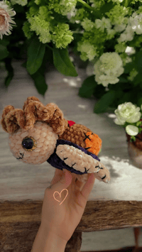 Image 1 of Turtle In A Scarecrow Costume 