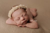 Image 1 of Newborn/Sitter Halo 95 - Ivory