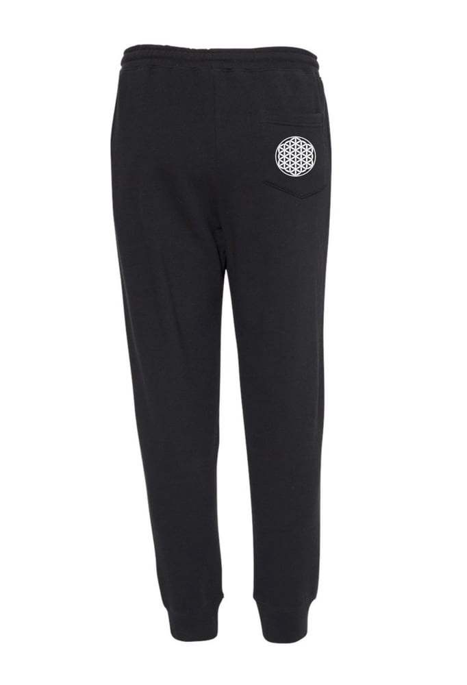 Image of FOL Black Joggers