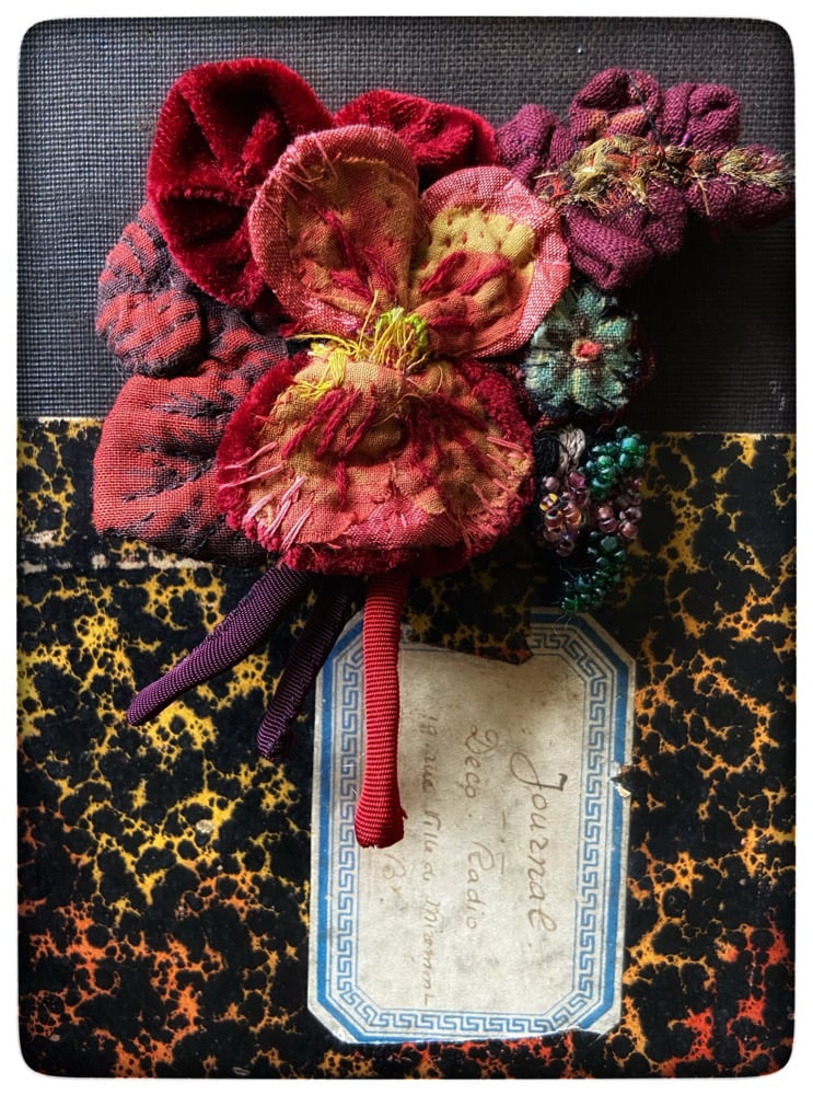 Image of May Pansy