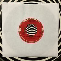 Vicente Fernandez - Se Vende Un Caballo