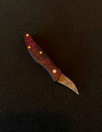 Image 1 of Mini C ph (folder)