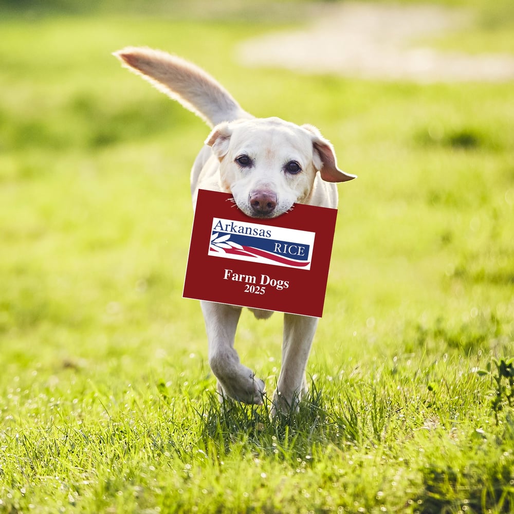 2025 Arkansas Rice Farm Dog Calendar