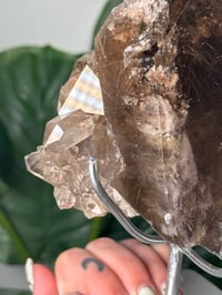 Image 5 of XL SMOKEY RUTILE IN QUARTZ CLUSTER ON STAND A
