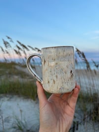 Image 3 of Speckled white western pony