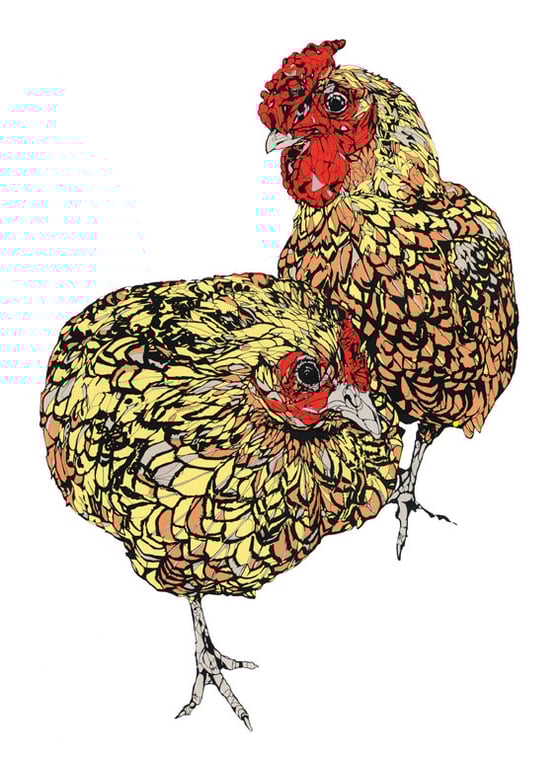 Image of Hen & Cockerel screen print