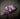 Amethyst Cluster 4