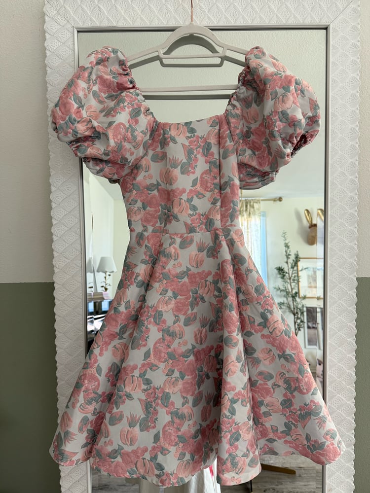 Image of Everything's rosy dress 