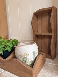 Image 1 of Scallop Display Tray 