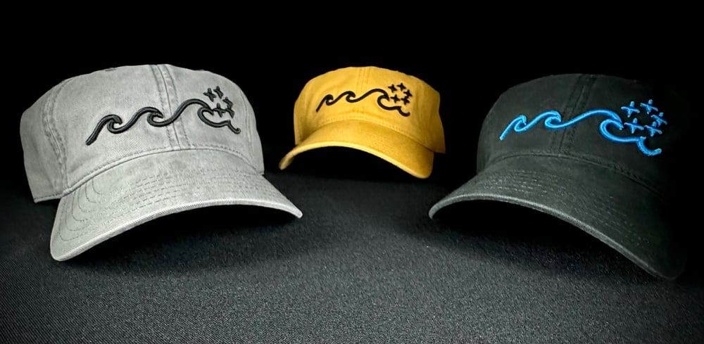 Image of Raid the Waves “Dad Hat”  