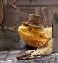 Image 2 of Indiana J0nes Reptibox!