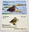 Woodcock - October 2021 - UK Birding - Enamel Pin Badge