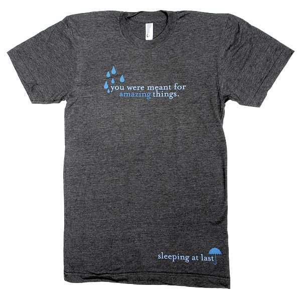 Image of "You Were Meant For Amazing Things" Shirt