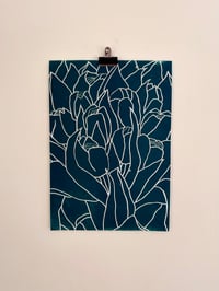 Image 1 of Tulips
