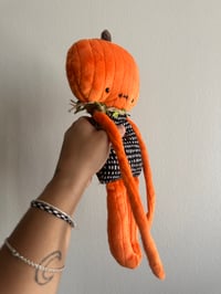 Image 4 of Pumpkin Rag Dolls