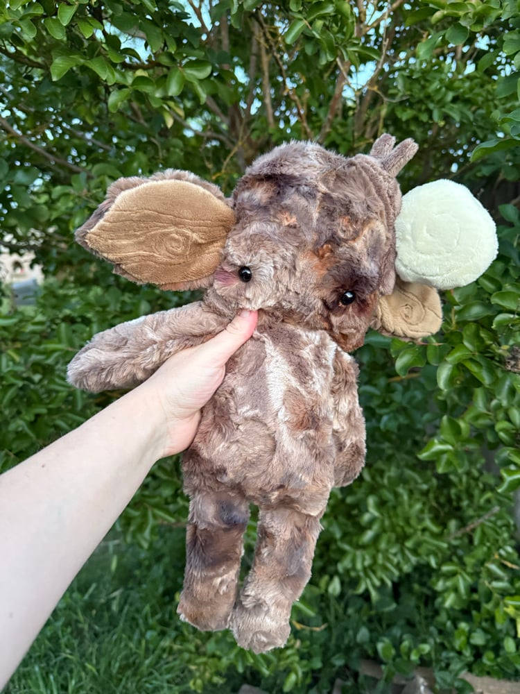 Image of Tree dweller