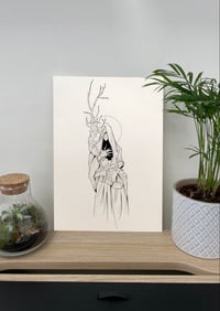 Image 2 of Druid 