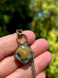 Image 2 of Autumn Light