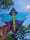 Image of Pink/Purple Dragonfly 