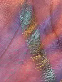 Image 2 of Crash n' Burn