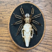 Image 1 of Rabbit skull spider (b, 5x7 inches)
