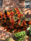 Autumn Ruffle 