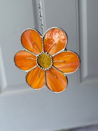 Large Orange flower