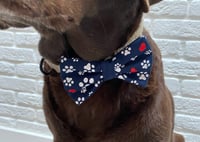 Image 9 of Personalised Valentine Dog Bow - Handmade Red or Navy Bow with Paw Prints and Hearts Design