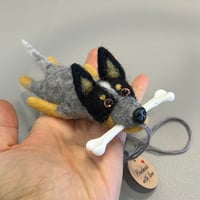 Image 3 of Australian Cattle Dog “Blue heeler” With BONE / LIGHT copy