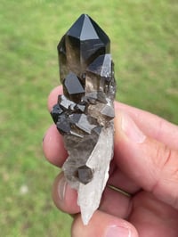 Image 4 of Smoky Quartz Points #1383