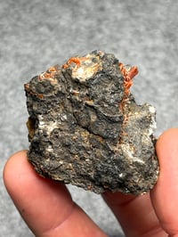Image 4 of Crocoite Cluster Specimen From Tasmania #2424