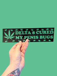 Penis Bugs Bumper Sticker