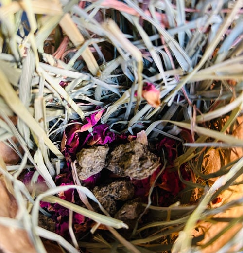 Image of Valentines Bunny enrichment forage bags