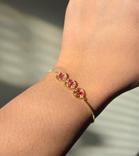 Image 2 of Triple Celosia 