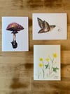 Greeting Card
