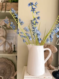 Image 2 of Bluebell Bouquet ( 6 Stems )