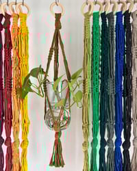 Image 1 of Mini Plant Hanger