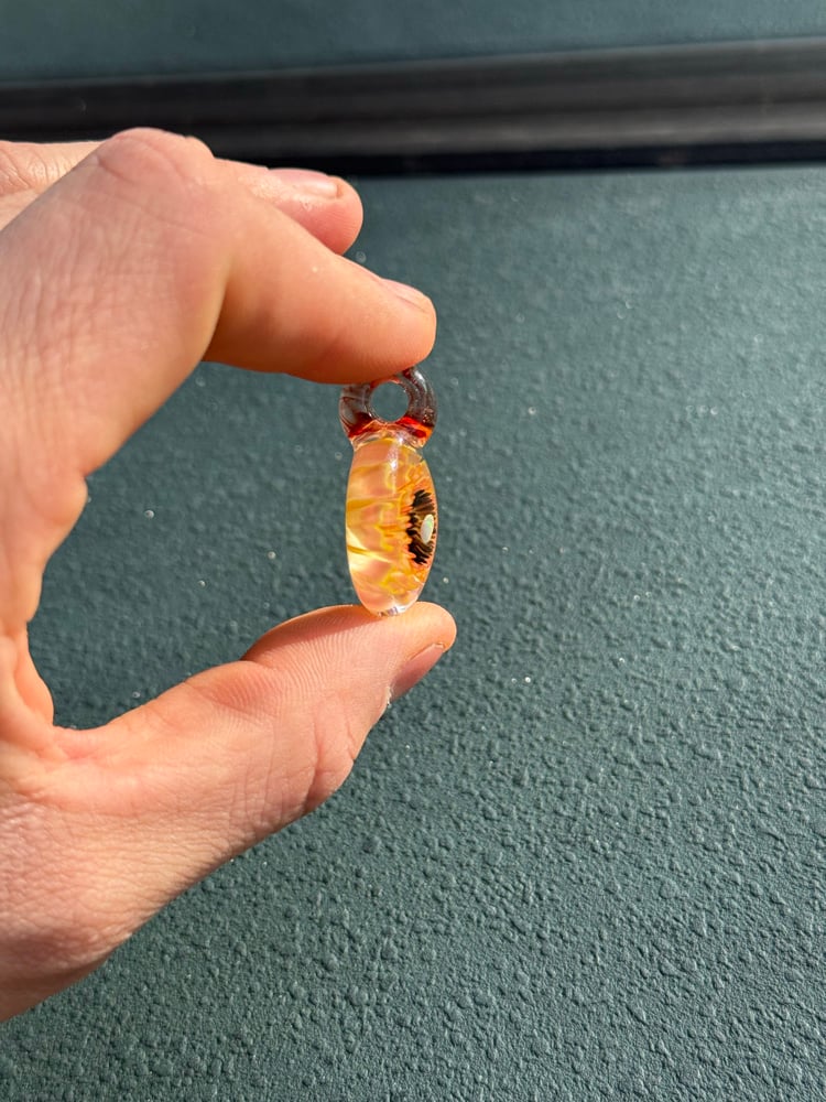 Image of Pink and yellow opal flower