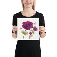 Image 6 of Bordeaux Anemone Bloom - Poster Print