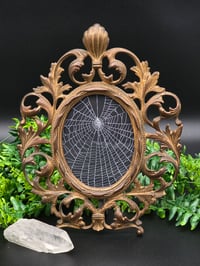Image 2 of Beautiful Victorian framed wall hanging preserved spider web