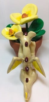 Image of Water Poppies