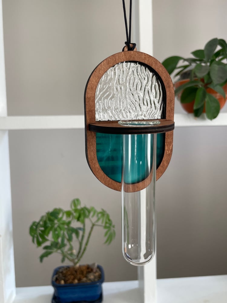 Mystery Colored Propagation Station!